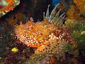 IMG_4358 r1